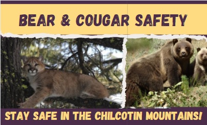Bear & Cougar Safety Cover