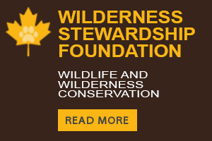 Wilderness Stewardship Foundation banner